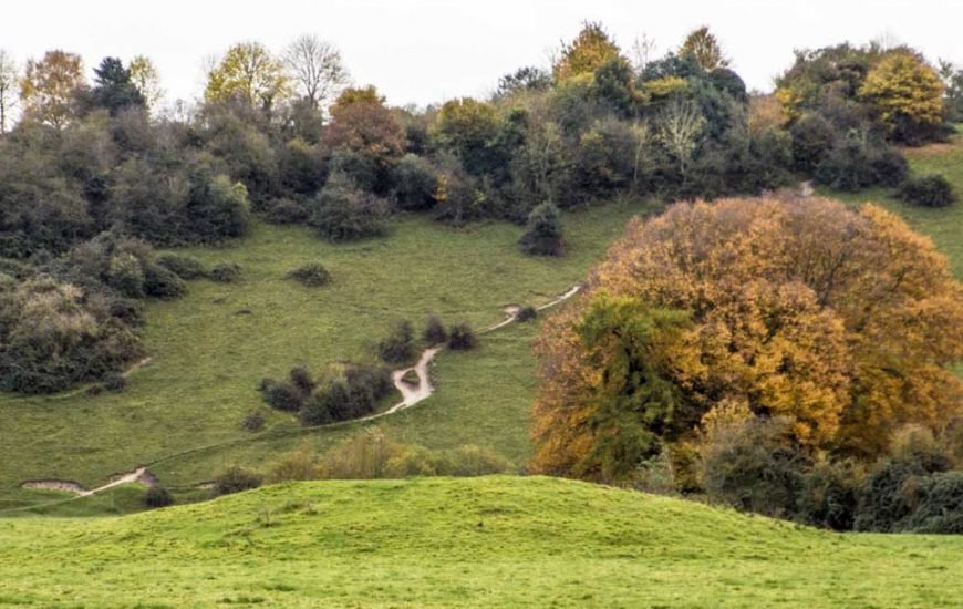 Marsh Meadow Cookham