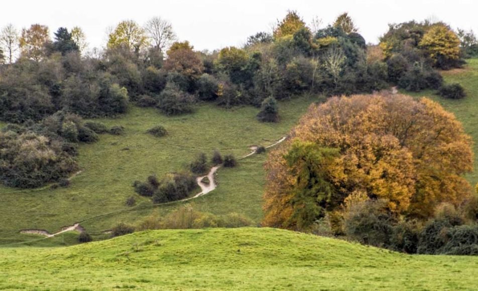 Marsh Meadow Cookham