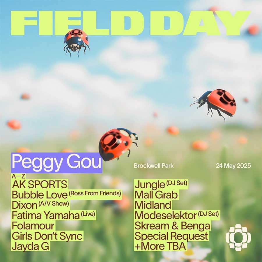 UK Field Day Festival 2025 first poster