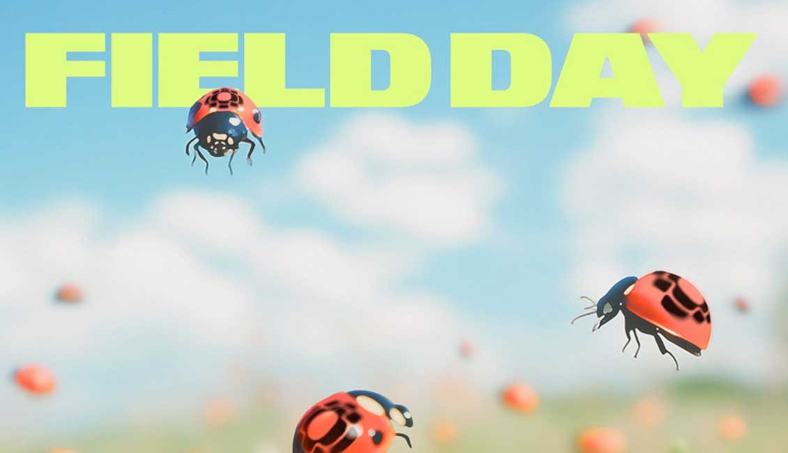 UK Field Day Festival 2025