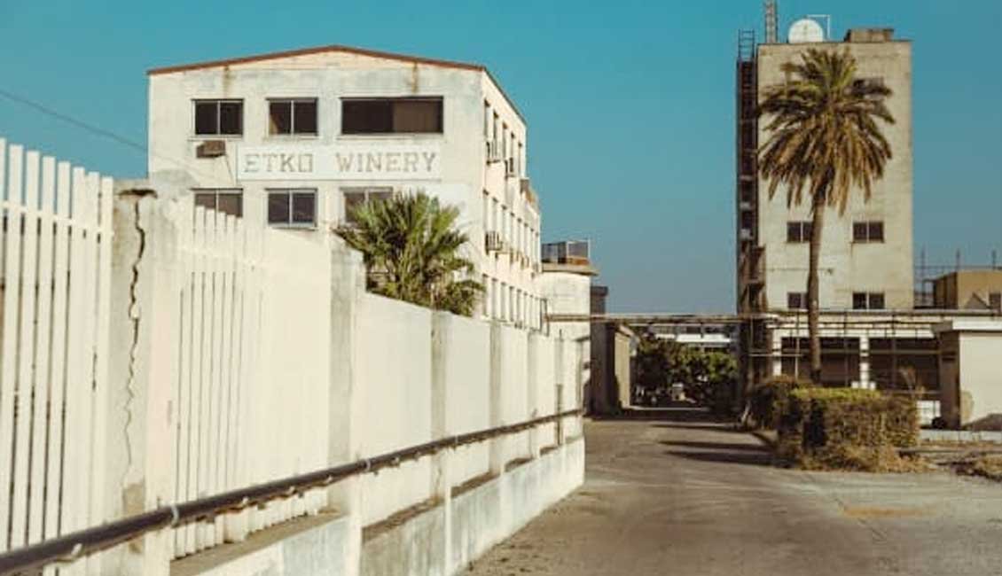 Venue Etko Winery Cypress