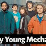 Any Young Mechanic play INmusic Festival Croatia 2026